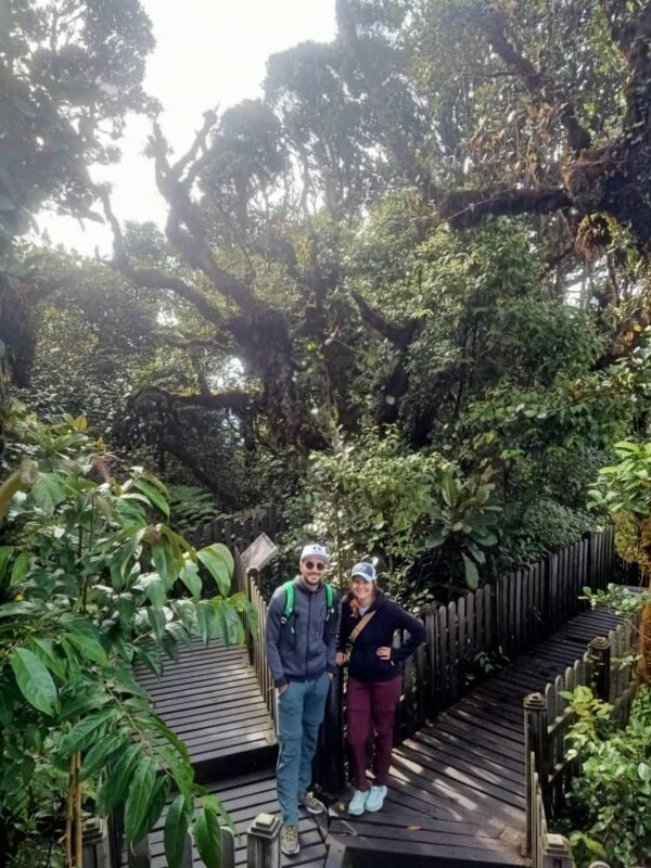 Cameron Highlands - Hit The Trails - Strawberry farm and lunch break