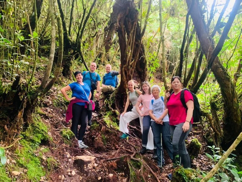 Cameron Highlands - Hit The Trails - Gunung Jasar, the afternoon trail