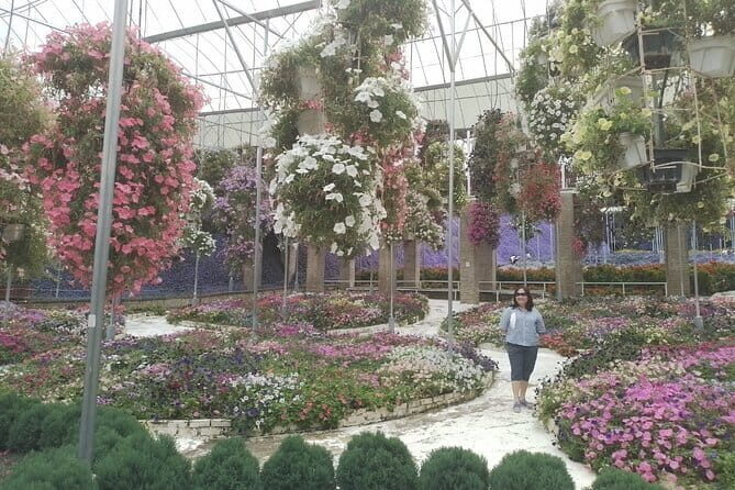 Cameron Highlands Multi Days Tour - What to Expect from the Cameron Highlands Multi Days Tour