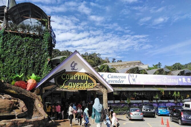 Cameron Highlands Multi Days Tour - Who Will Love This Tour?