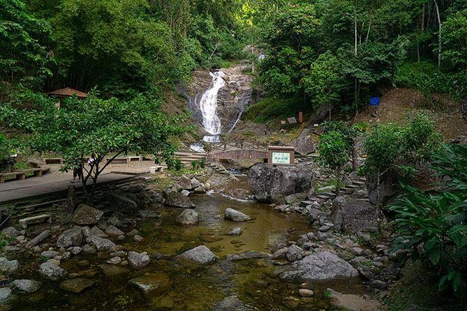 Cameron Highlands One Day Trip from Kuala Lumpur Privately Organised - A Deep Dive into the Cameron Highlands One Day Trip
