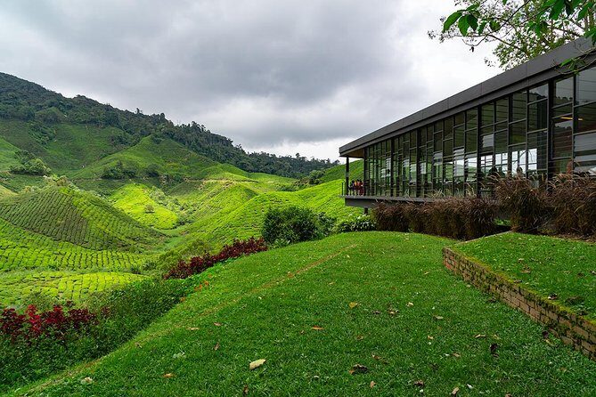 Cameron Highlands One Day Trip from Kuala Lumpur Privately Organised - FAQ