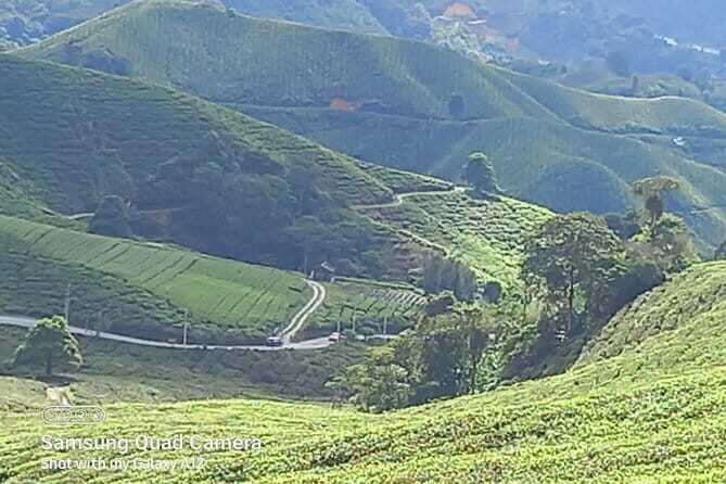 Cameron Highlands Private Day Tour from Ipoh, Package B - Good To Know