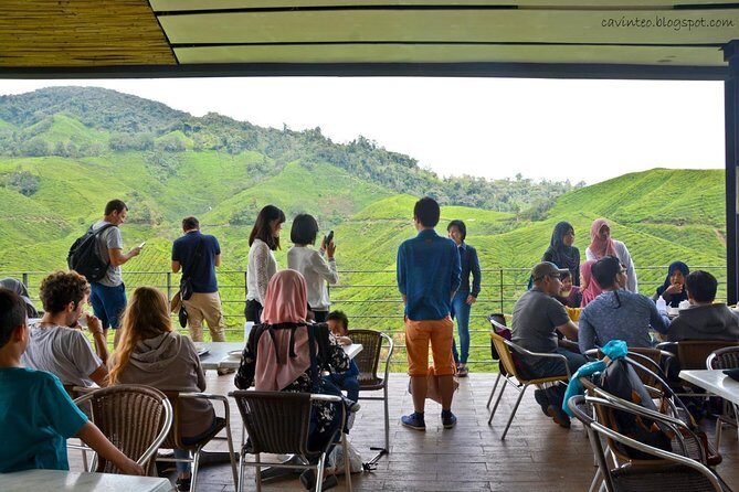 Cameron Highlands Private Day Tour from Kuala Lumpur - A Deep Dive into the Cameron Highlands Private Day Tour