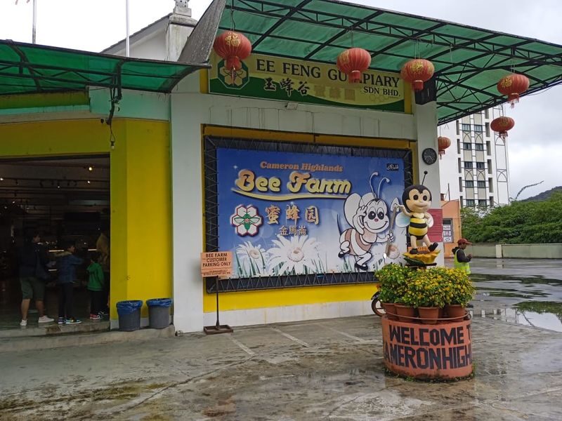 Cameron Highlands Private or Join In Day Tour from Kuala Lumpur - Private car or join-in tour?