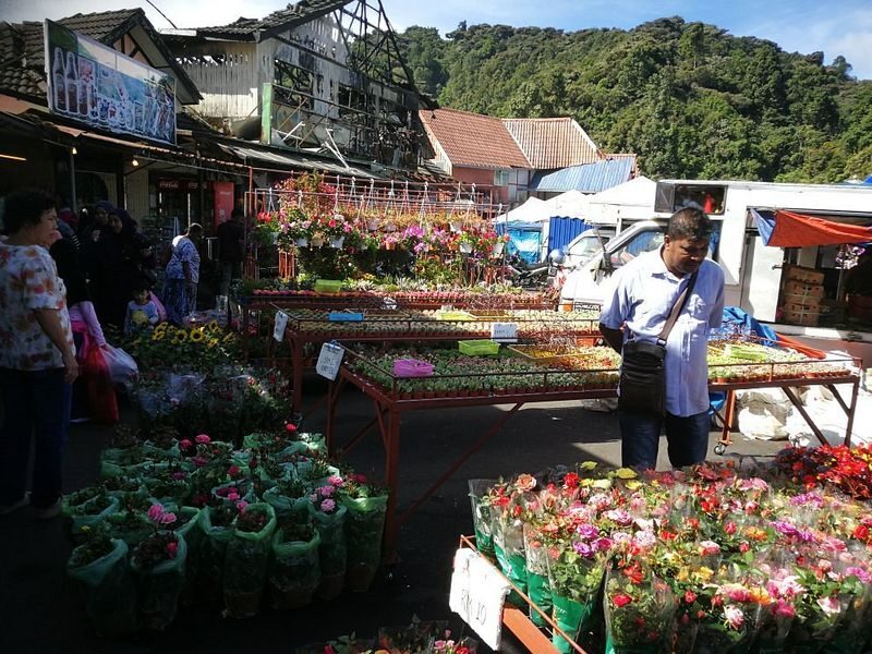 Cameron Highlands Private or Join In Day Tour from Kuala Lumpur - What the price includes, and what it does not