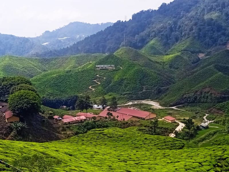 Cameron Highlands Private or Join In Day Tour from Kuala Lumpur - Practical details for a more comfortable day