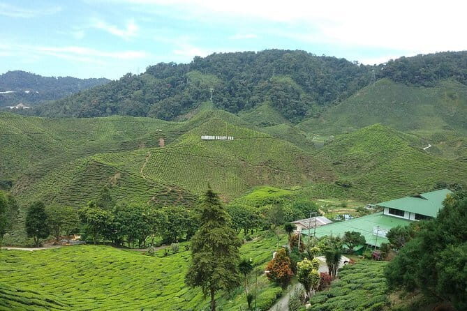 Cameron Highlands Sightseing Tour - Good To Know