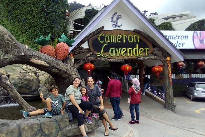 Cameron Highlands Sunrise Discovery - The Sum Up