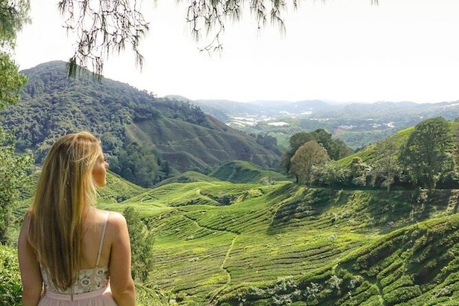 Cameron Highlands Tour From Kuala Lumpur - Coverage and Itinerary