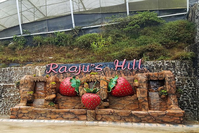 Cameron Highlands Tour From Kuala Lumpur (Private Tour) - Tour Highlights