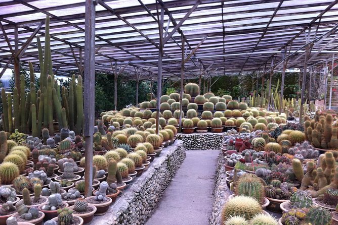 Cameron Highlands Tour From Kuala Lumpur (Private Tour) - Customer Reviews