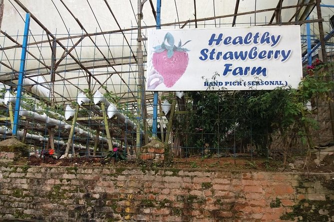 Cameron Highlands Tour From Kuala Lumpur (Private Tour) - Price Details