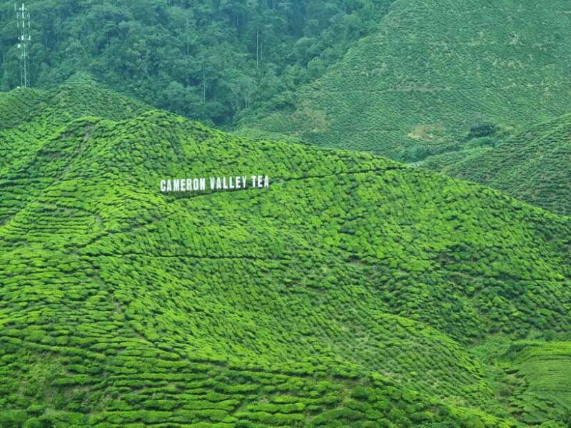 Cameroon Highland : Best nature in highland - Who Is This Tour Best For?