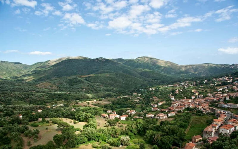 Camerota: Guided wine tasting - Good To Know