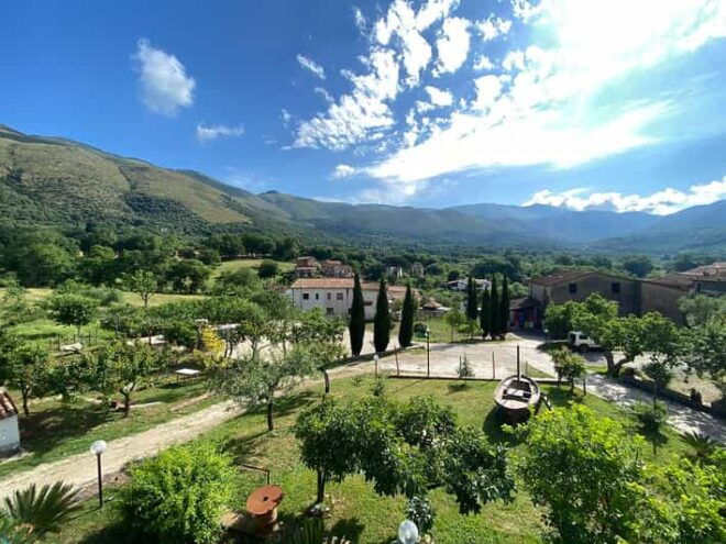 Camerota: Wine Tasting and Wineyard Tour - Tasting and Tour Details