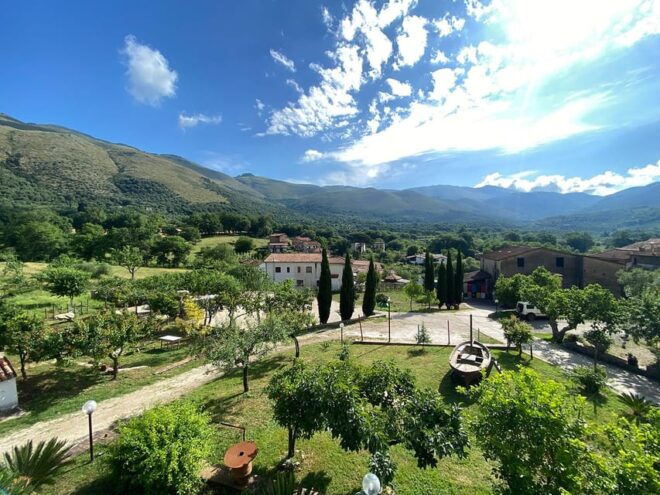 Camerota: Wine Tasting and Wineyard Tour - Accessibility and Group Options
