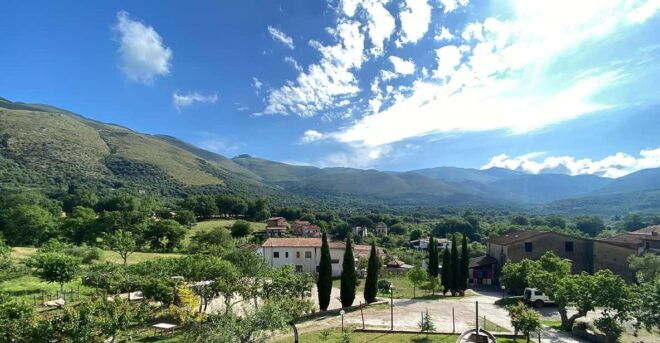 Camerota: Wine Tasting and Wineyard Tour - Scenic Campania Setting