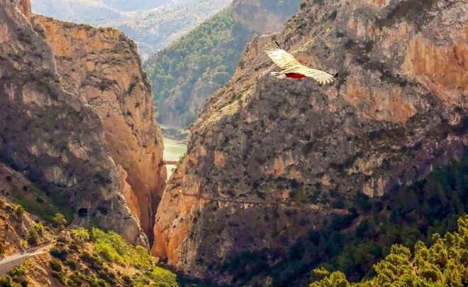 Caminito Del Rey: Entry Ticket and Guided Tour - Customer Reviews