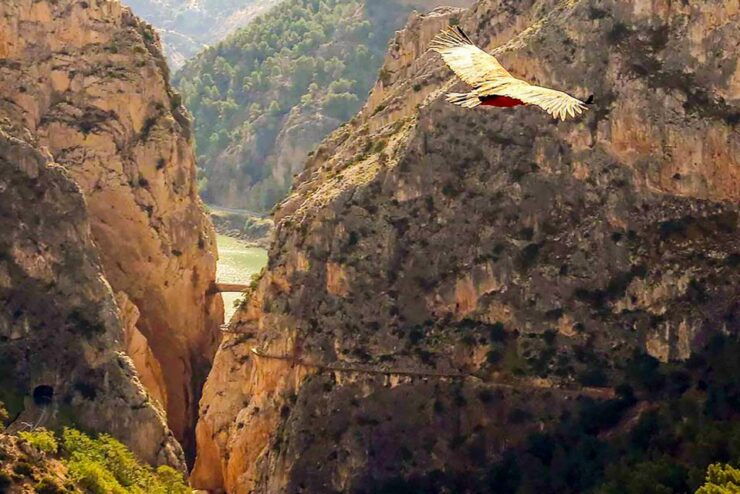 Caminito Del Rey: Entry Ticket - Ticket Information