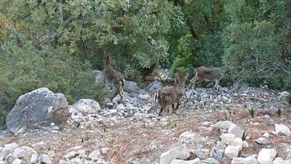 Caminito Del Rey: Guided Tour With 1 Drink and Shuttle Bus - Common Questions