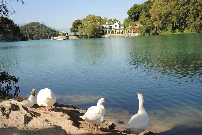 Caminito Del Rey Private Tour From Malaga and Surrondings Areas - Free Time and Natural Features