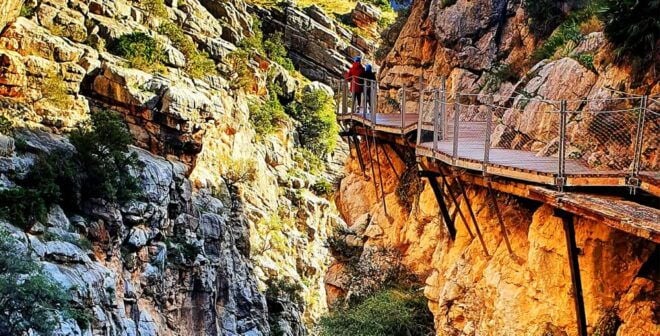 Caminito Del Rey: Tour With Official Guide - Shuttle Buses and Return Options