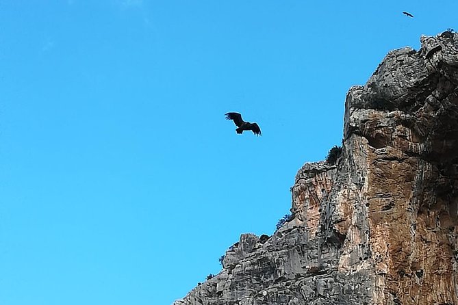 Caminito Del Rey Trekking From Seville - The Sum Up