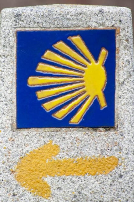 Camino De Santiago: Bicycle Rental - Rental Duration and Extensions