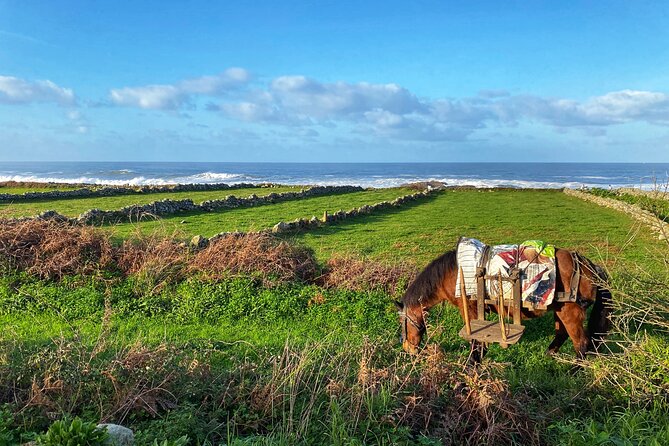 Camino De Santiago: Camino Portuguese Coastal & Spiritual Variant - Inclusions for the Camino De Santiago Tour