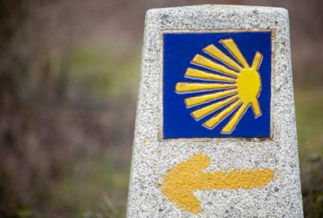 Camino De Santiago: Electric Bicycle Rental - Experience Highlights