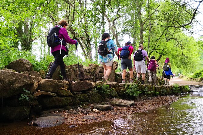 Camino De Santiago Last 100 Km Sarria to Santiago De Compostela - Reviews and Ratings