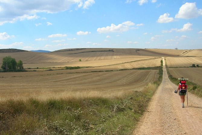 Camino De Santiago: Last 100 Km Walk From Sarria to Santiago De Compostela - Overview of the Hike