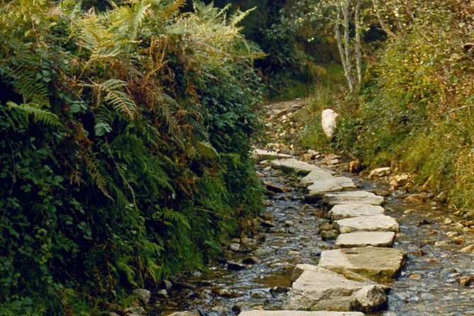 Camino De Santiago: Last 100 Km Walk From Sarria to Santiago De Compostela - Hiking Tips and Recommendations