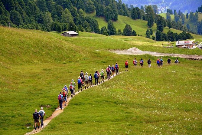 'Camino De Santiago': Portuguese Way. Private Walking Tour From Tui - What to Expect - Day 1