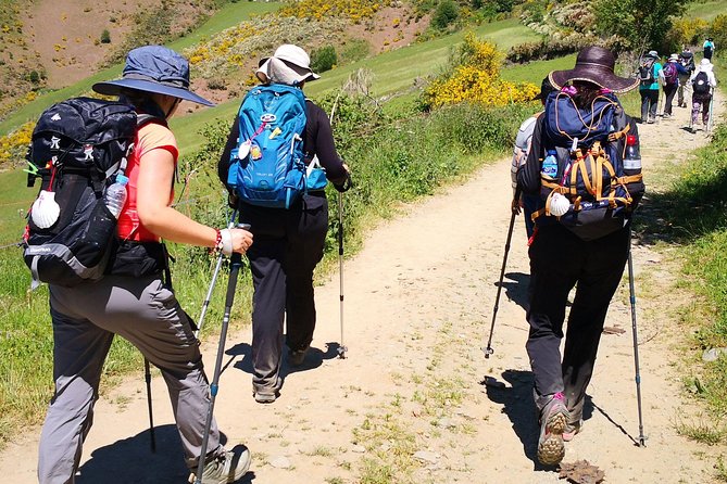 'Camino De Santiago': Portuguese Way. Private Walking Tour From Tui - Common Questions
