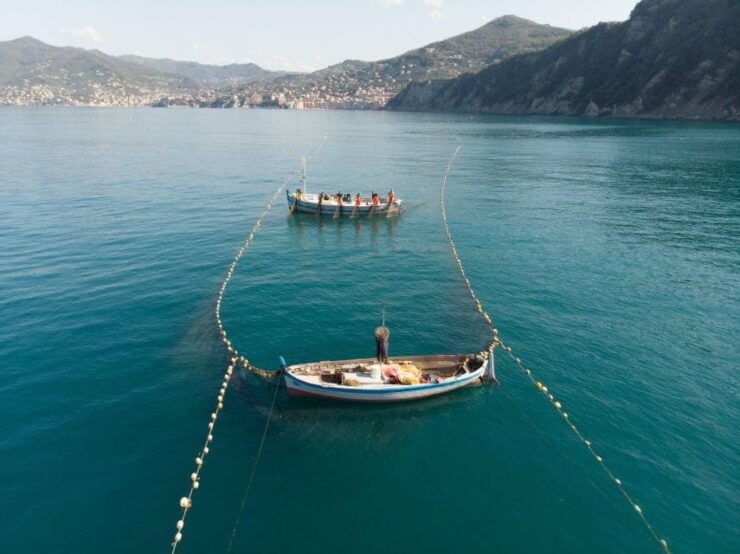 Camogli: Boat Tour on the Trail of the Tonnarella - Experience Itinerary