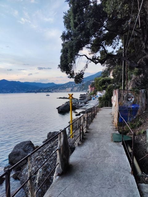 Camogli: Boat Tour on the Trail of the Tonnarella - Meeting Point and Information