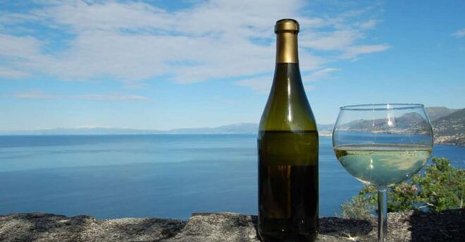 Camogli: Ligurian Wine Tasting Experience - Location Information