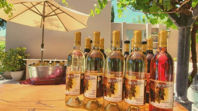 Camp Verde: Jeep Tour and Winery Tasting - Important Information for Participants