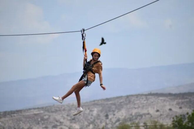 Camp Verde: Predator Zip Lines Guided Tour - Customer Review