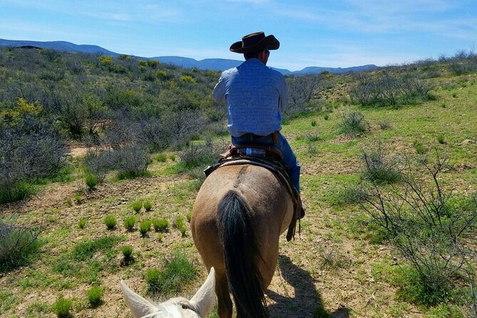 Camp Verde Small-Group Scenic Horseback Ride  - Flagstaff - Viator Help Center and Booking Details