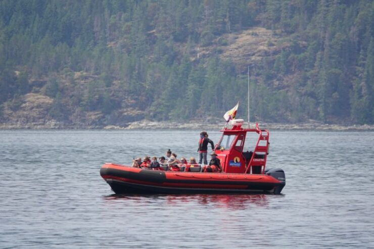Campbell River: 6-Hour Whale Watching Boat Tour - Experience Highlights on the Boat