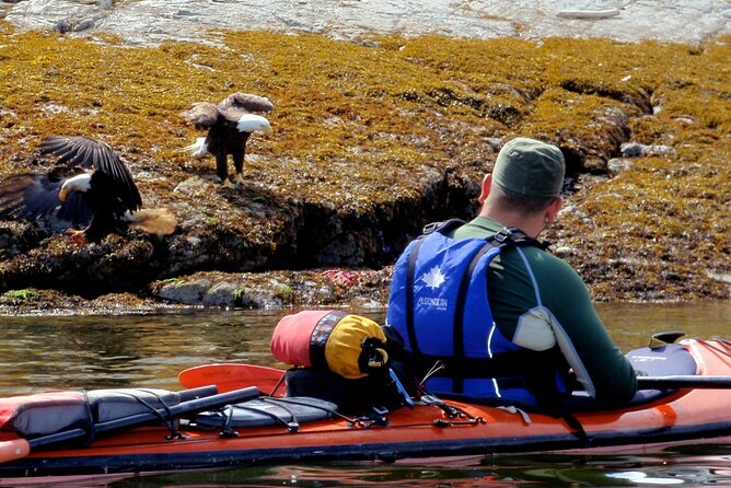 Campbell River Full Day Whale Watching and Kayaking Tour  - Vancouver Island - The Sum Up