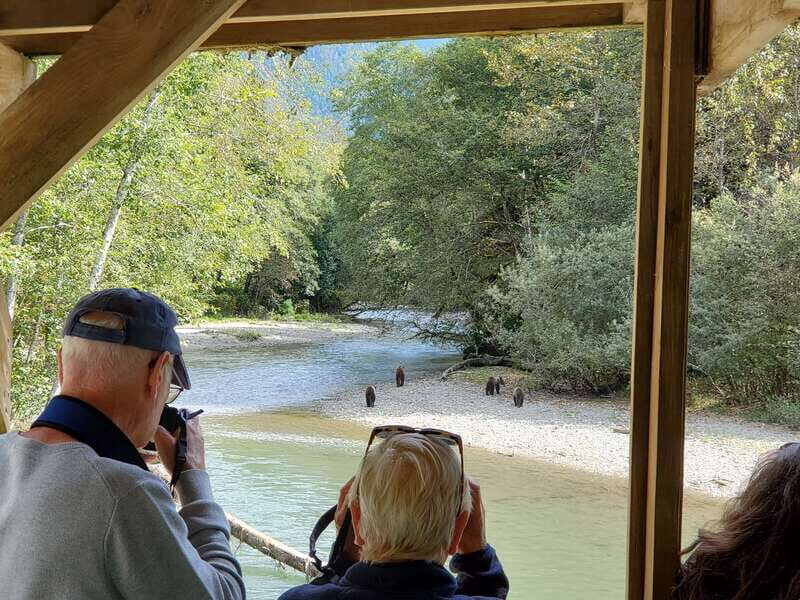 Campbell River: Grizzly Bear-Watching Tour with Lunch - What Reviewers Say: Authentic Experiences and Honest Feedback