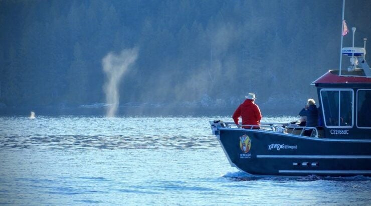 Campbell River: Salish Sea Whale Watching Adventure - Activity Details