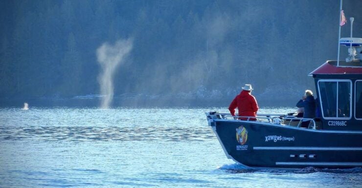 Campbell River: Salish Sea Whale Watching Adventure - Experience Highlights