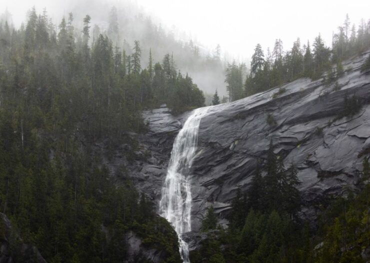 Campbell River: Spring Bear Watching & Waterfalls Boat Tour - Activity Information