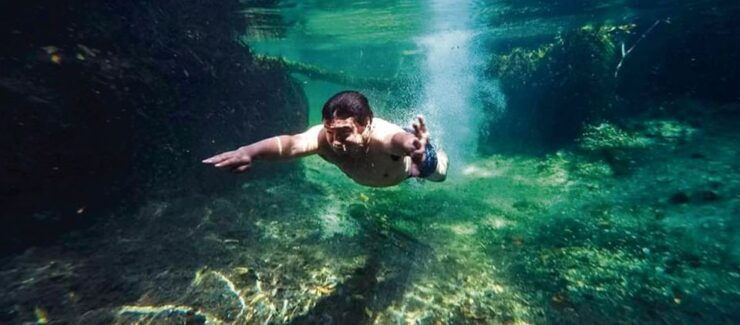 Campeche: Mangrove Tour - Activity Details