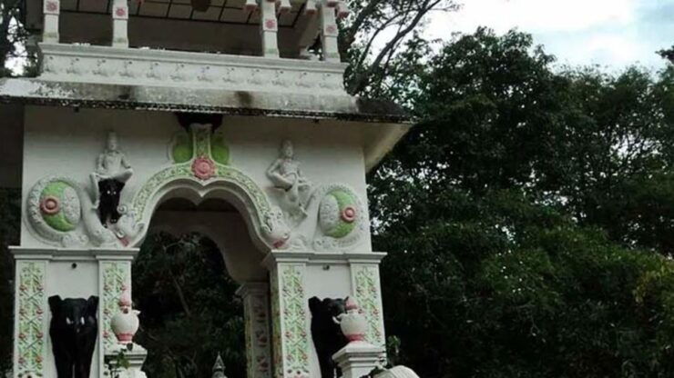 Campfire, Culture & Waterfalls: Sri Lankan Local Adventure - Experience Highlights